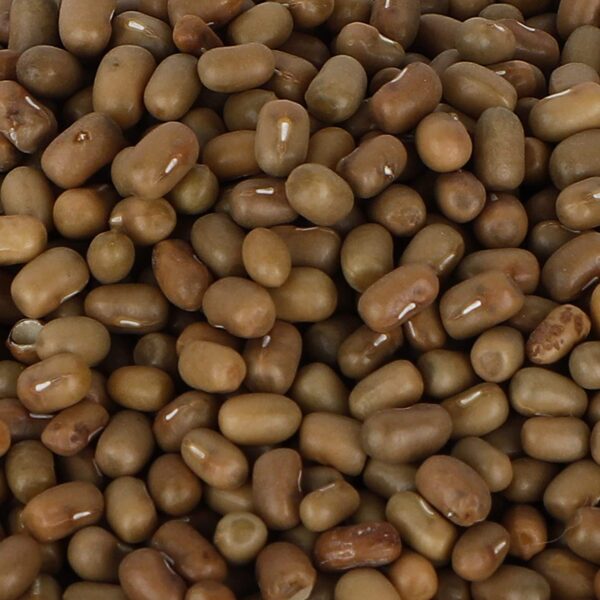 Moth Beans - 1kg