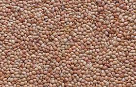 {sabut/kali} {Masoormalka} Dal - 1kg